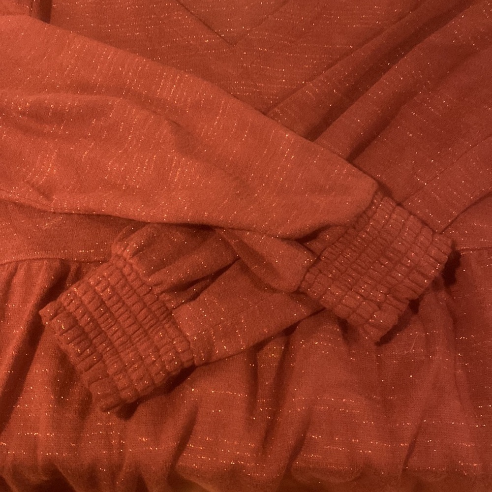 Loft Drop Waist Tunic Dress - Rust - Picture 7 of 8